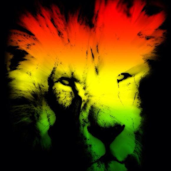 Meet your Posher, Ruben - Picture 1 of 1